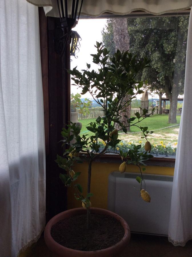 Borgo Della Molara Grottaferrata Ngoại thất bức ảnh